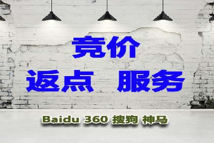 竞价账户优化与维护，代运营公司的专业能力展示